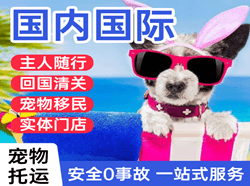 丽江三义机场物流国际宠物托运 【国
